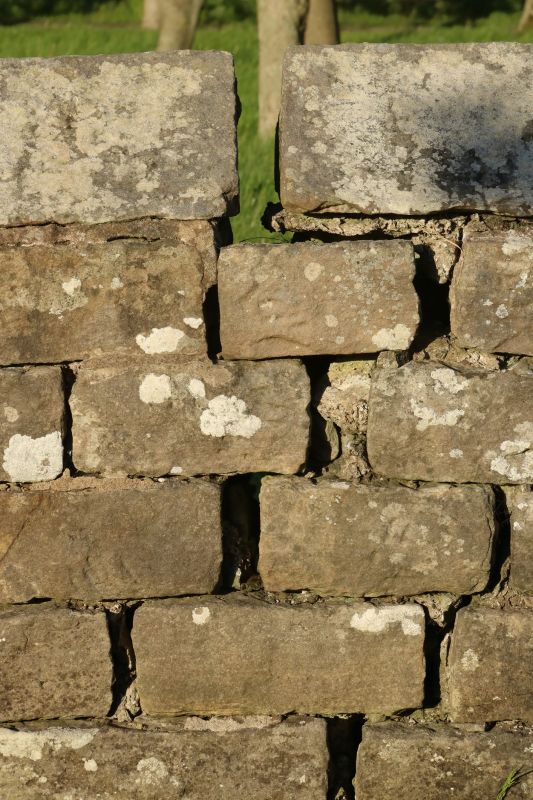 Stone Wall Repair in Ellijay, GA